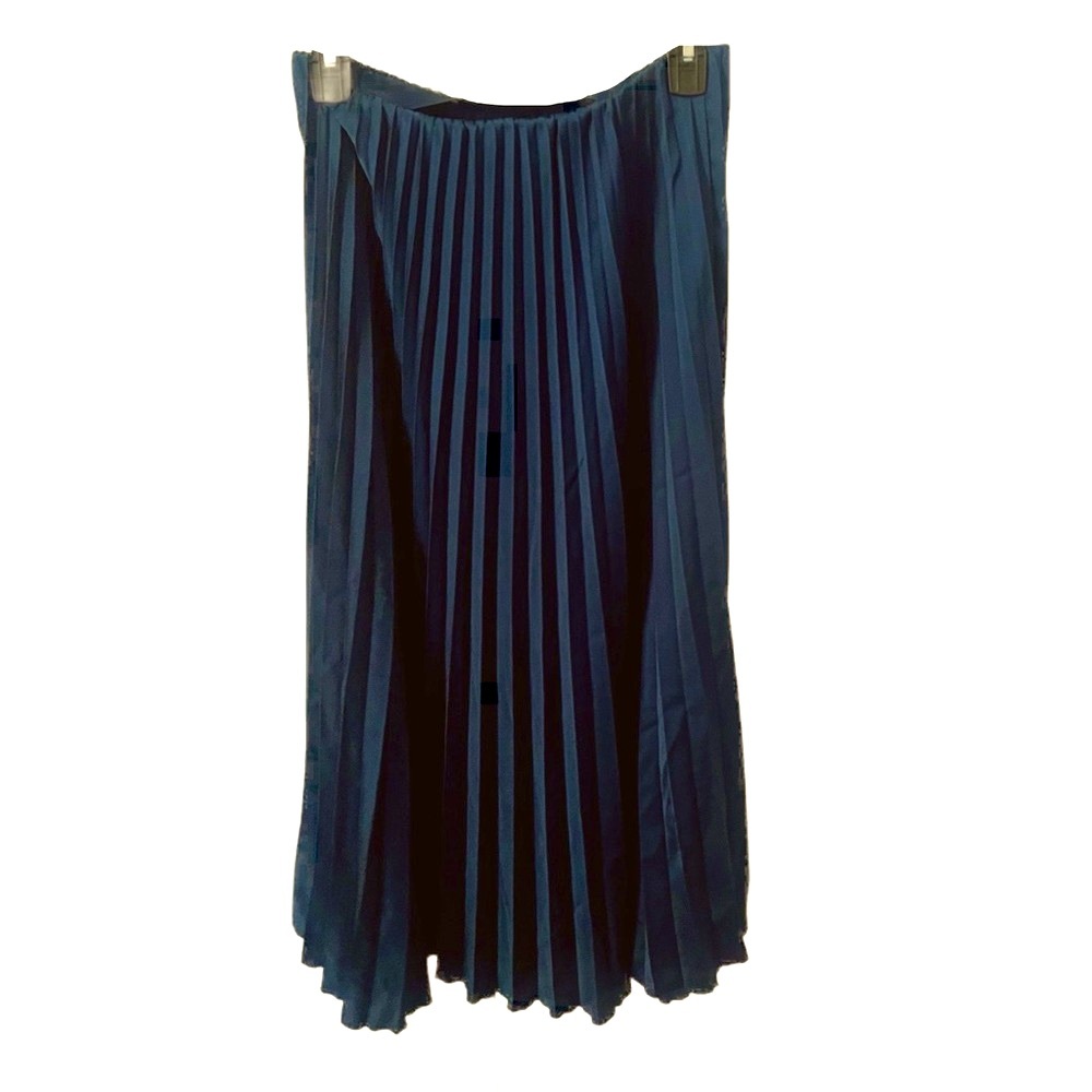 ZARA Blue Long Skirt